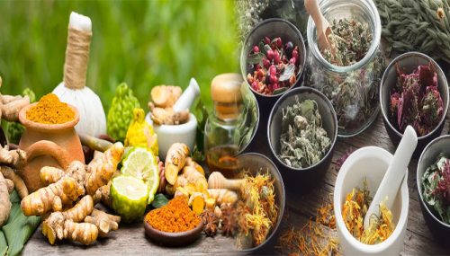 Evidence-Backed Herbal Remedies for Promoting Mental Well-Being