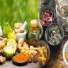 Evidence-Backed Herbal Remedies for Promoting Mental Well-Being